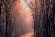 C7娱乐官网：亚冬会今日赛程｜中国男子冰球对阵韩国哈尔滨日报.