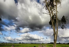 [NBA]东詹合砍63分 湖人加时险胜尼克斯.