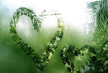 英媒：岁前山东队外援西塞复出，将加盟阿联酋第四级别球队.