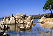 C7娱乐官网：亚冬会今日赛程｜中国男子冰球对阵韩国哈尔滨日报.